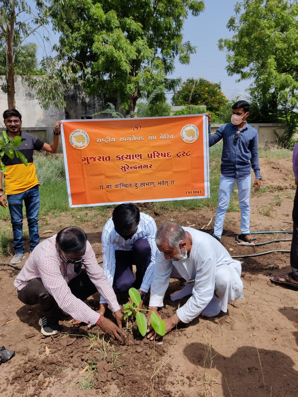 Tree Plantation